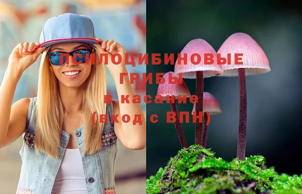 2c-b Балахна