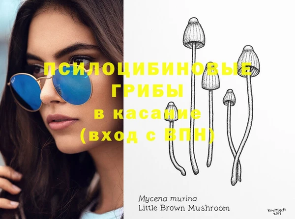 2c-b Балахна