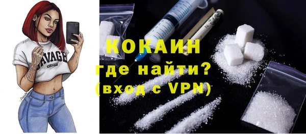 PSILOCYBIN Рославль